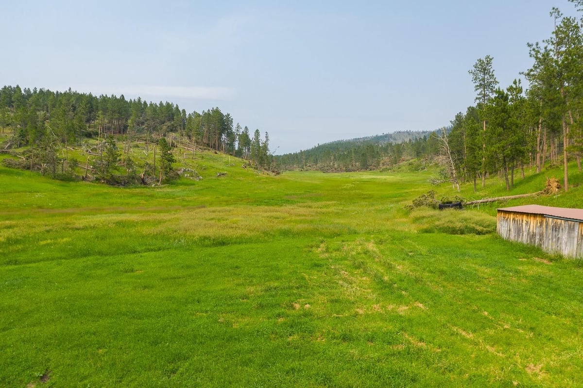 HLRBO Hunting Lease 53 acres in Clay County,South Dakota