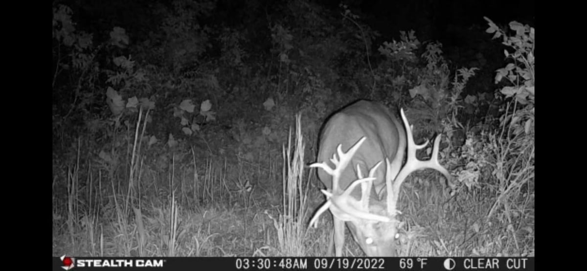 HLRBO Hunting Lease 700 acres in Ohio County,Kentucky