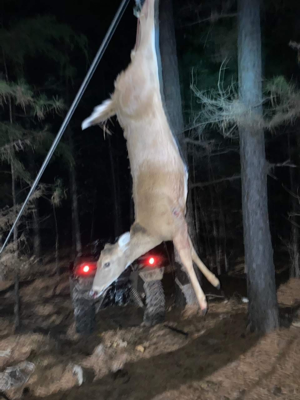 HLRBO Pittsburg,Oklahoma Hunting Lease 150.00 Per Day