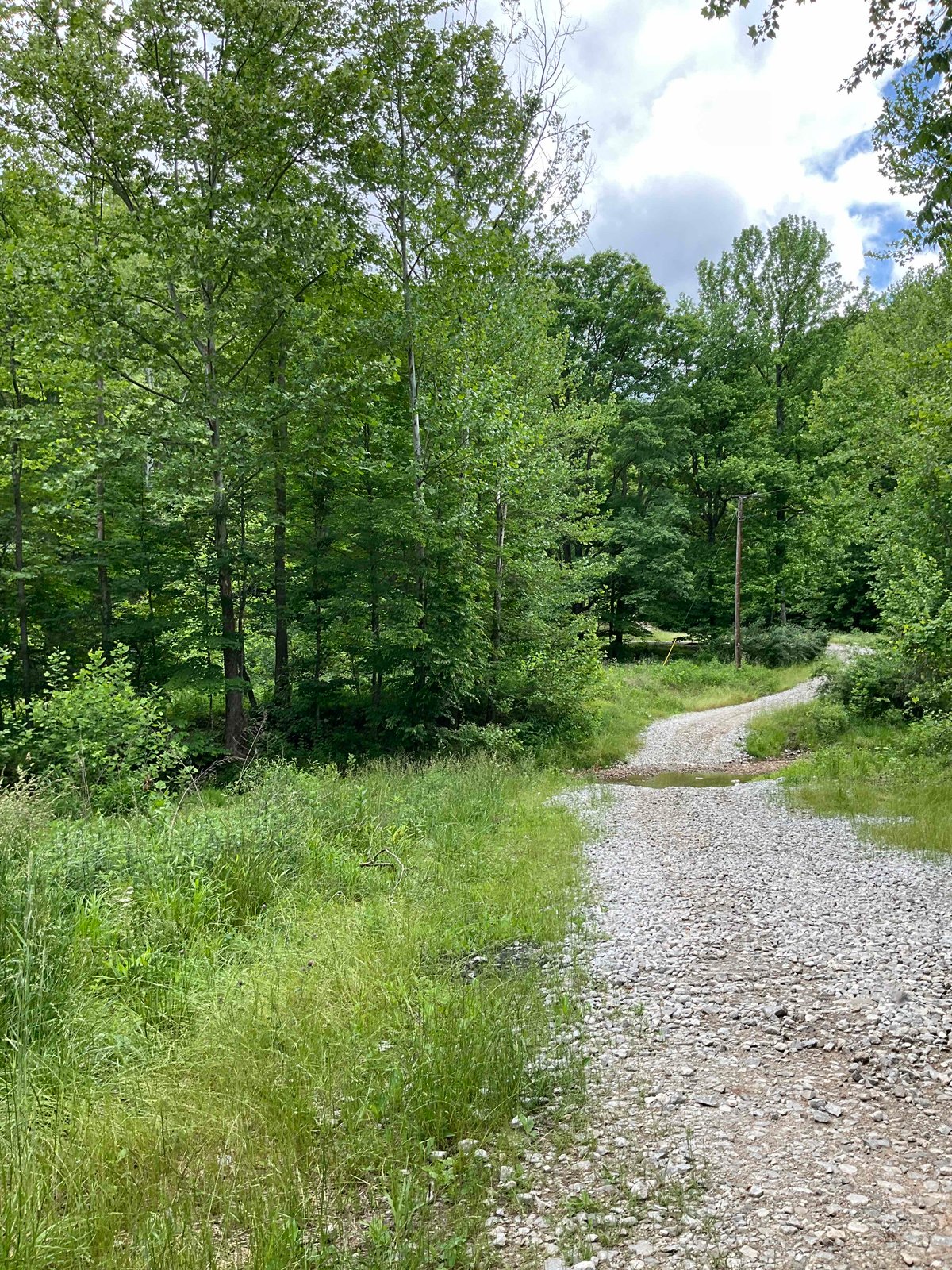 HLRBO Kanawha,West Virginia Hunting Lease 0.00 Per Day