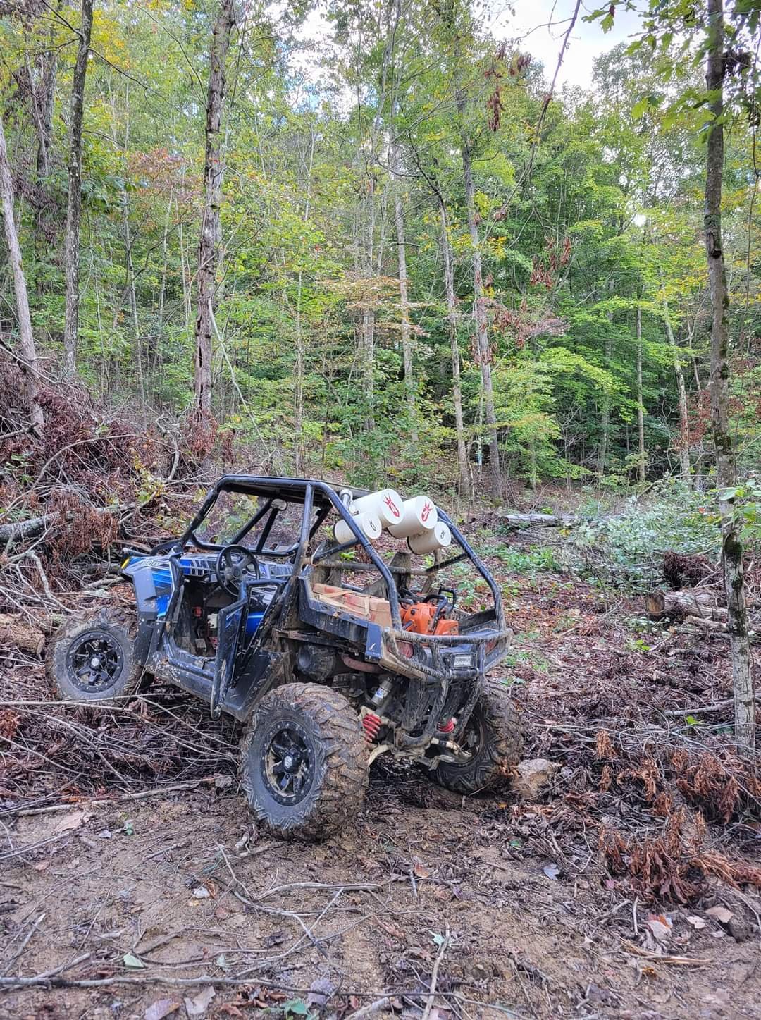 HLRBO Hunting Lease 11 acres in Wayne County,Kentucky