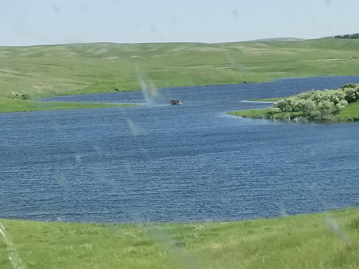 HLRBO Hunting Lease 480 acres in Stutsman County,North Dakota