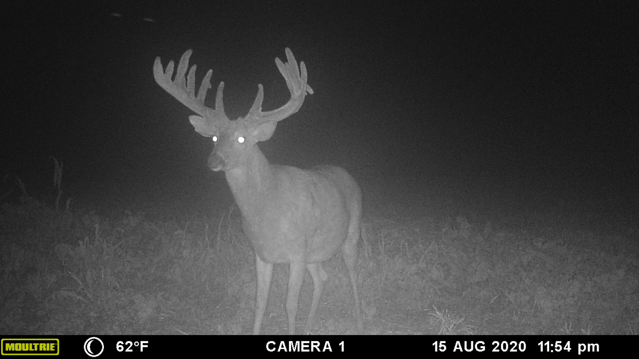 HLRBO Hunting Lease 10500 acres in Greenwood County,Kansas