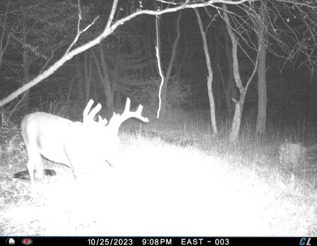 HLRBO Hunting Lease 60 acres in Broome County,New York