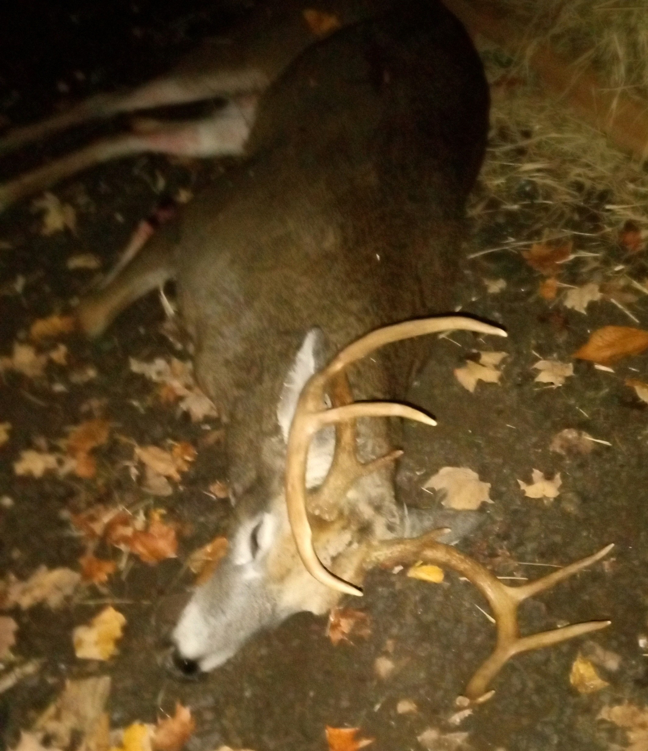 HLRBO Hunting Lease 325 acres in Ulster County,New York