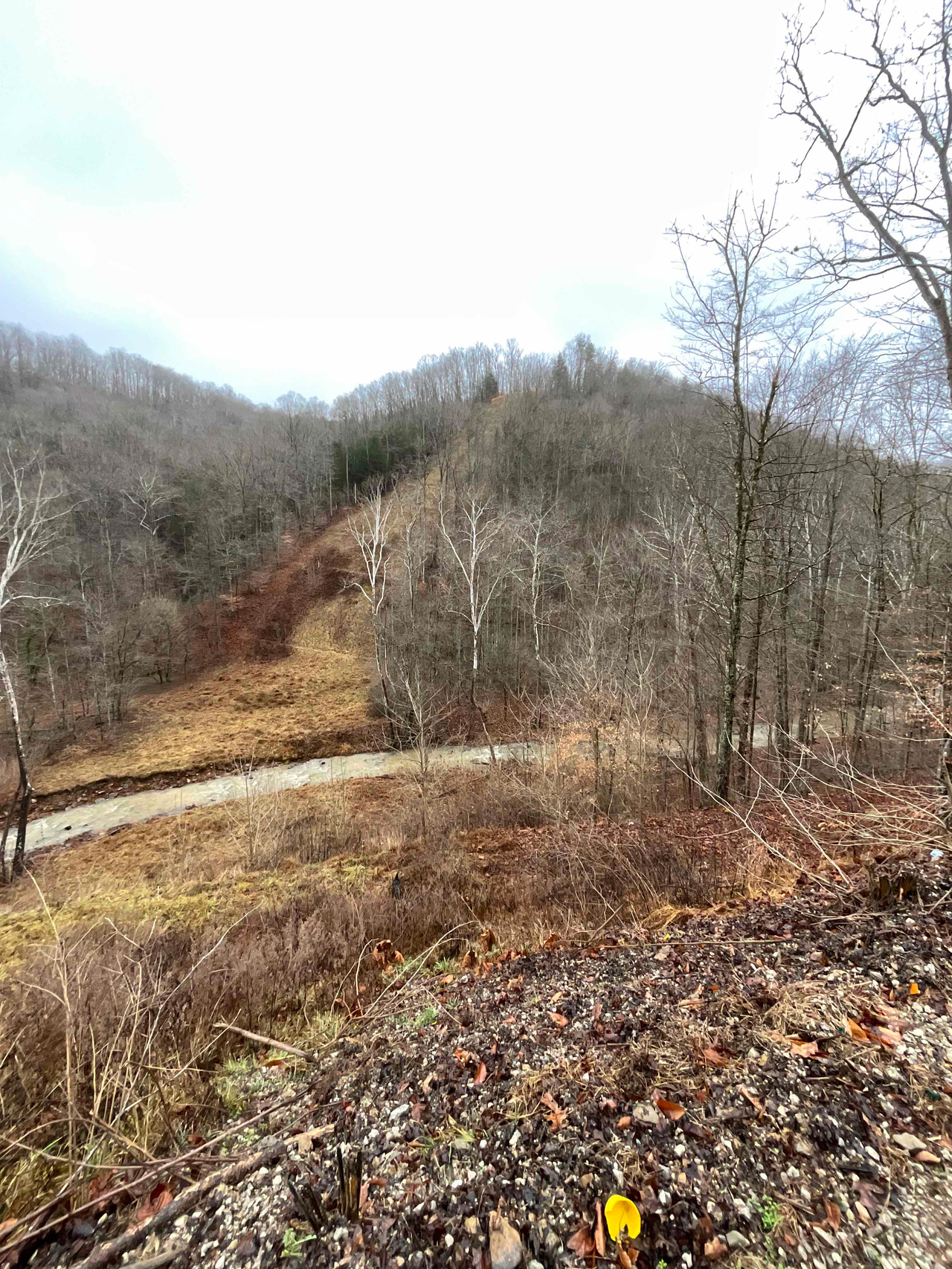 HLRBO Hunting Lease 225 acres in Kanawhacounty,West Virginia