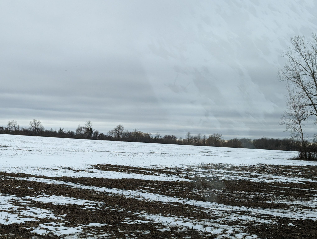 HLRBO Hunting Lease 31 acres in Cayuga County,New York