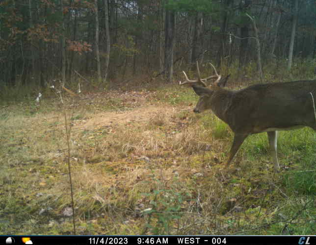 HLRBO Hunting Lease 60 acres in Broome County,New York