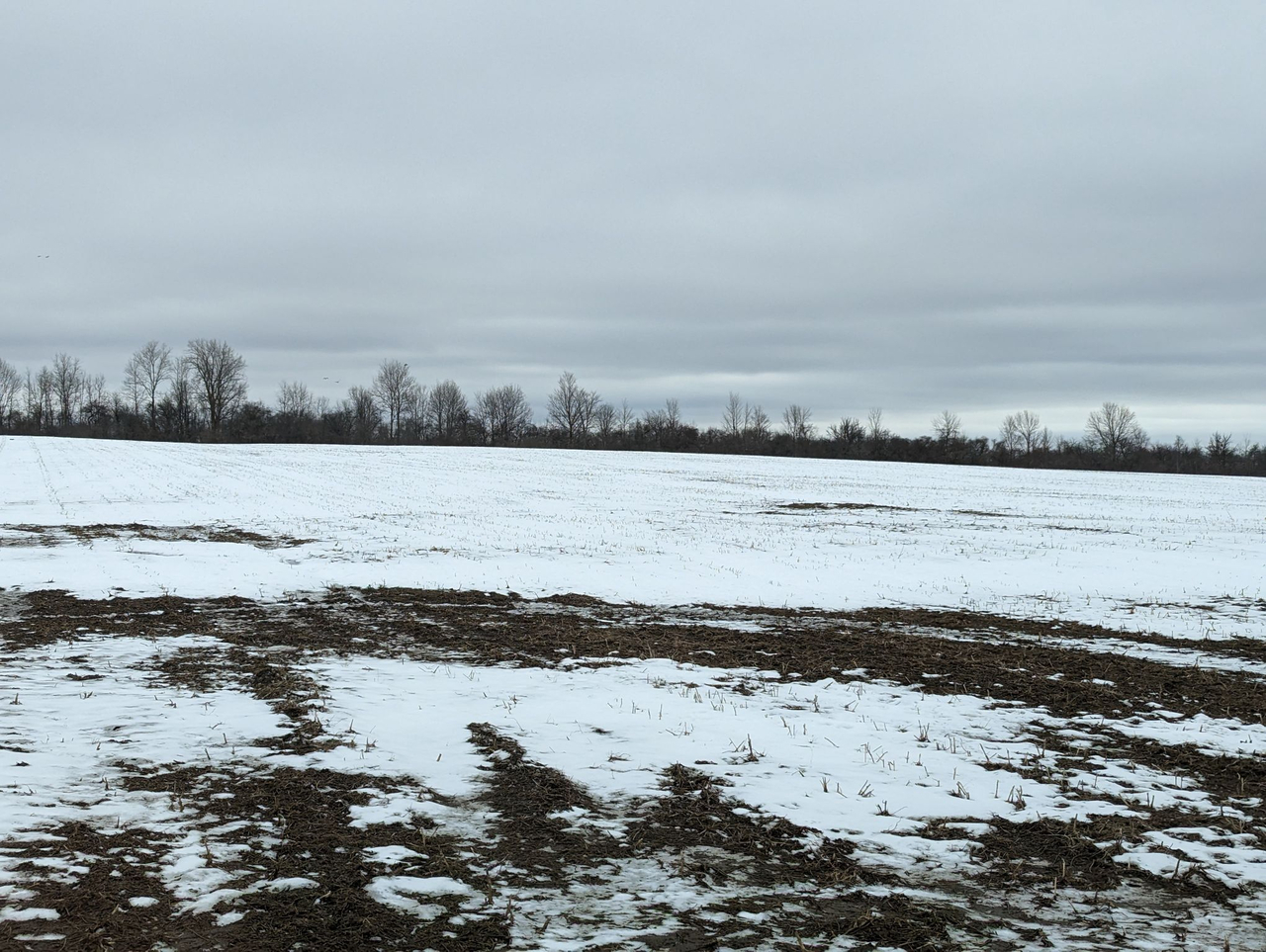HLRBO Hunting Lease 31 acres in Cayuga County,New York