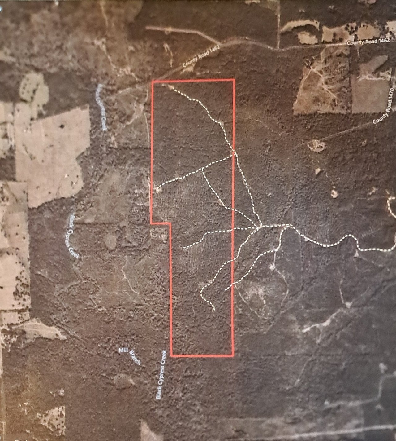 HLRBO Hunting Lease 324 acres - 056b0d6a 49d4 4ee0 A76a D96967b4b70b 