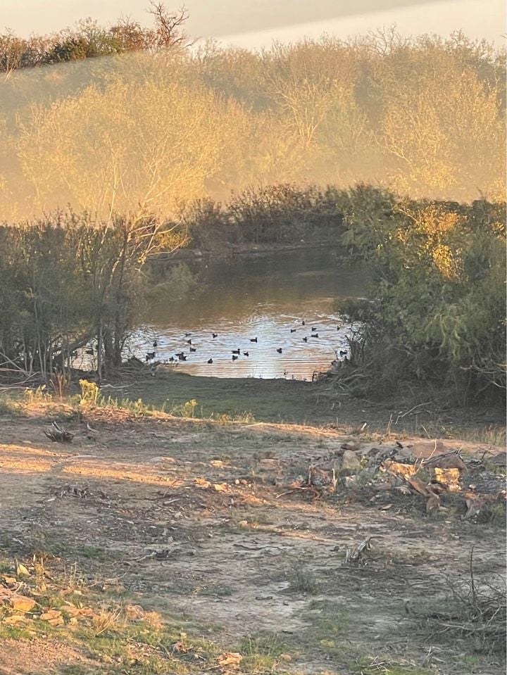 HLRBO Hunting Lease 3808 acres in Jack County,Texas