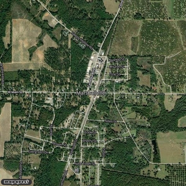 HLRBO Hunting Lease 379 acres in Twiggs