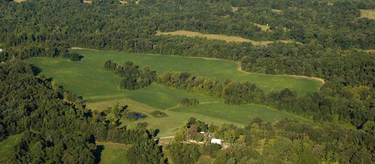 HLRBO Hunting Lease 98 acres in Crittenden County,Kentucky