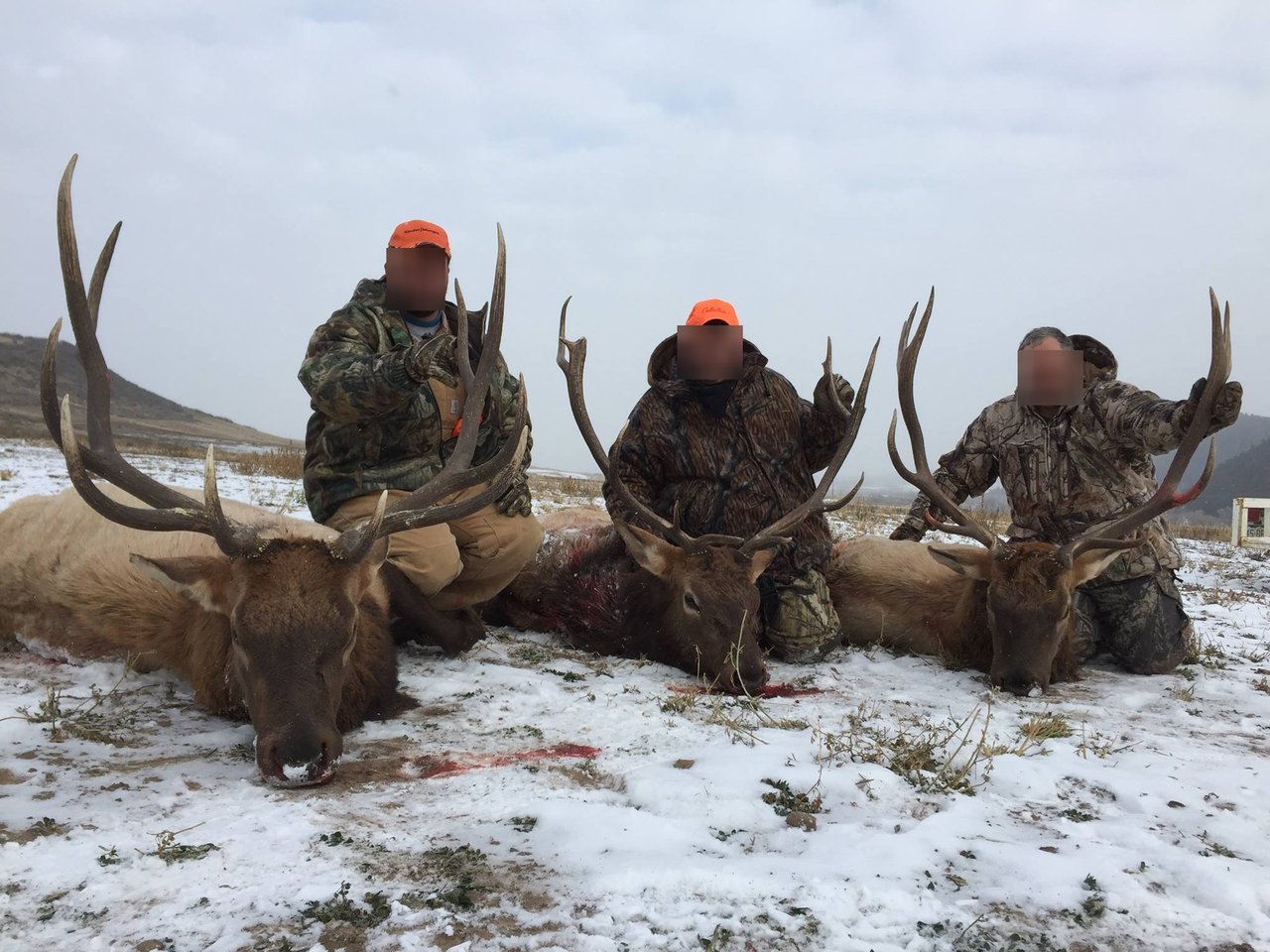 HLRBO Hunting Lease 1800 acres in Routt County,Colorado