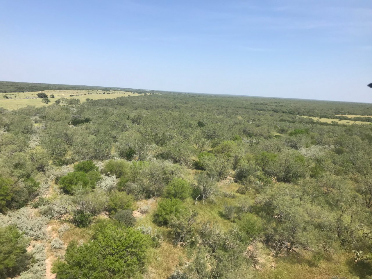 HLRBO Hunting Lease - 2750 acres in Starr County,Texas