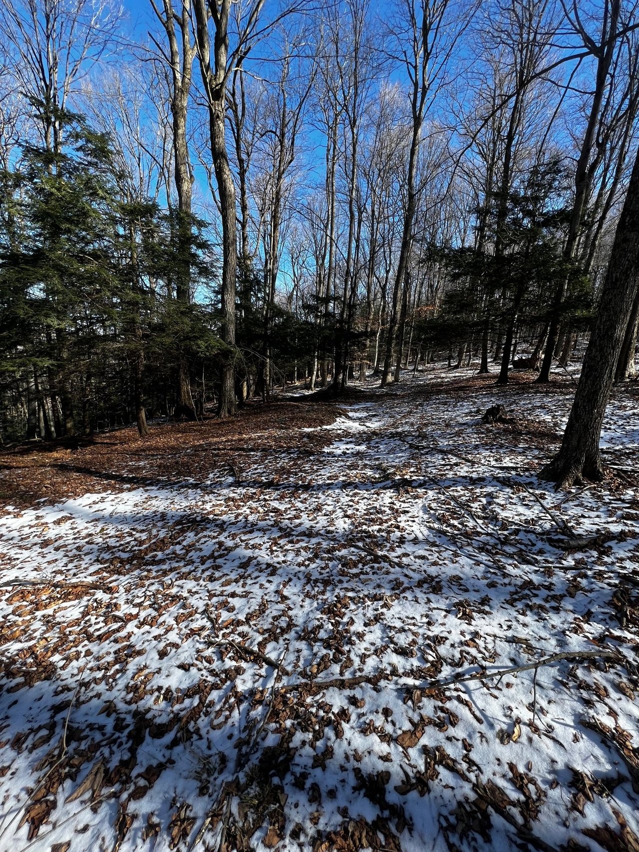 Hunting Lease Allegany County Ny at Aaron Lunt blog