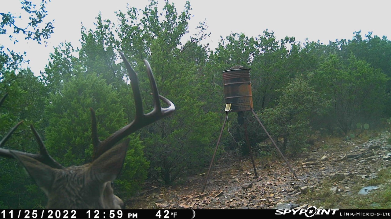 HLRBO Hunting Lease 45 acres in Lampasas County,Texas