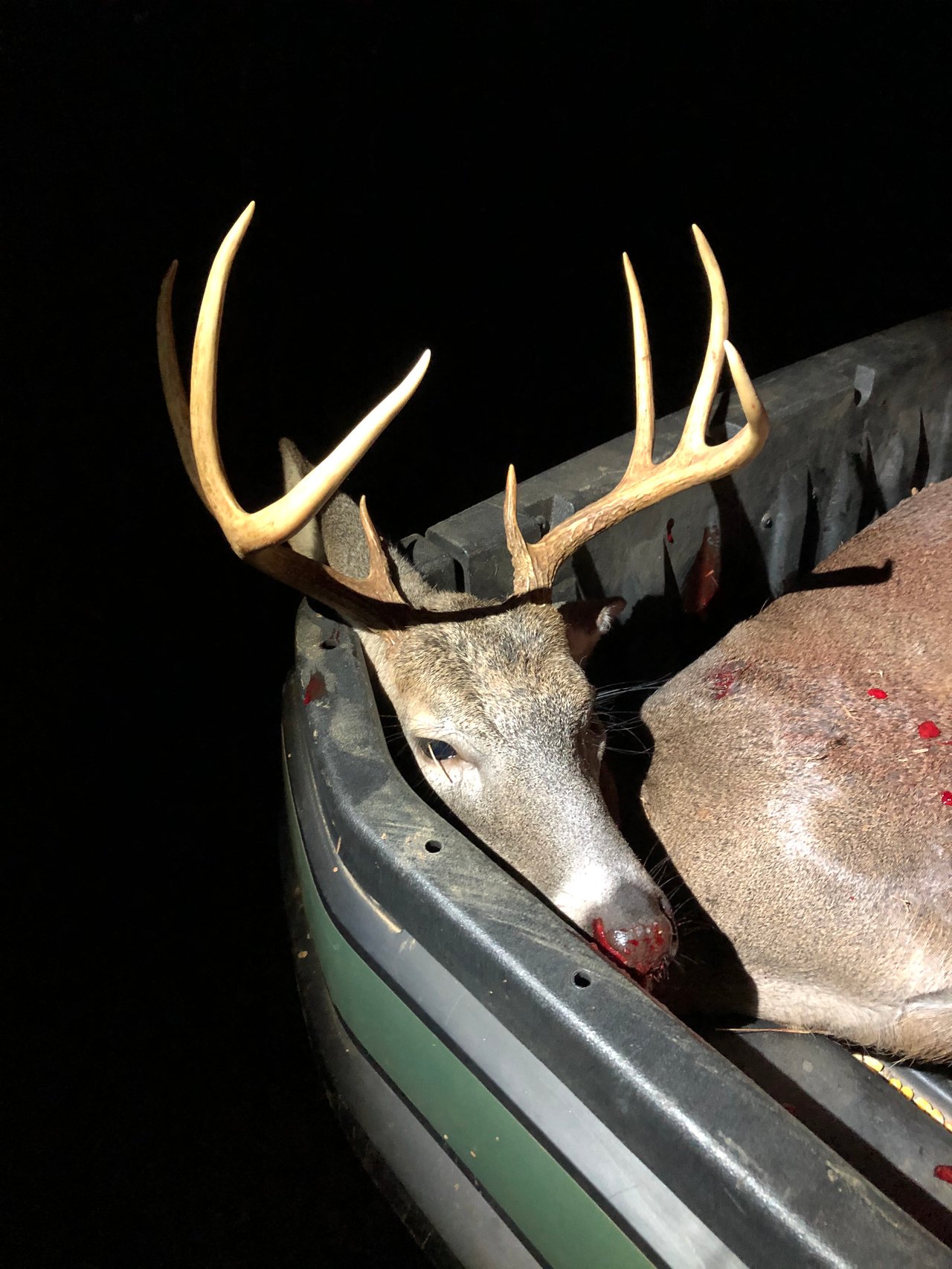 HLRBO Hunting Lease 246 acres in Oglethorpe