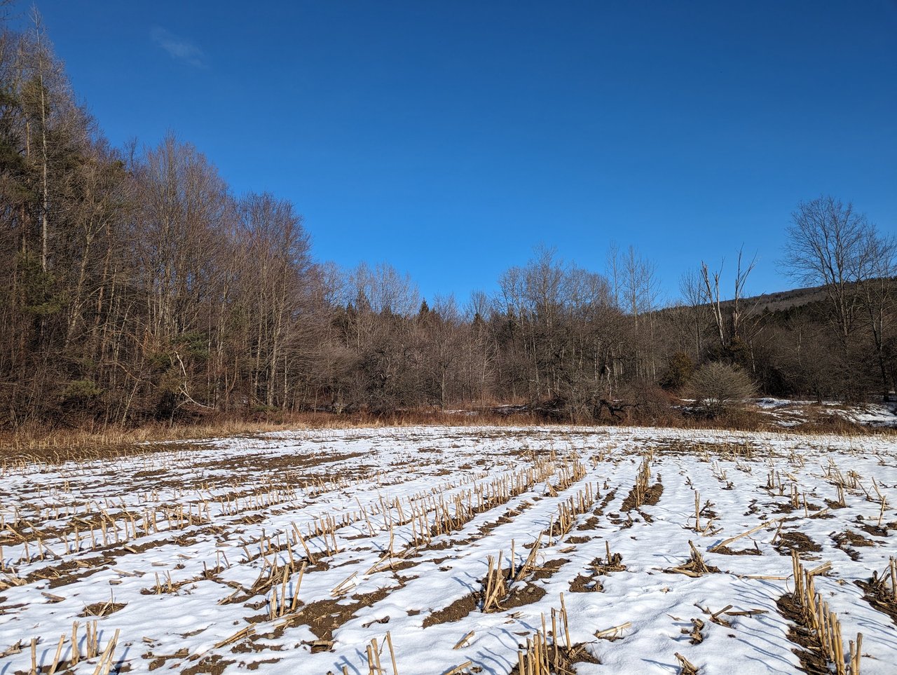 HLRBO Hunting Lease 63 acres in Cortland County,New York