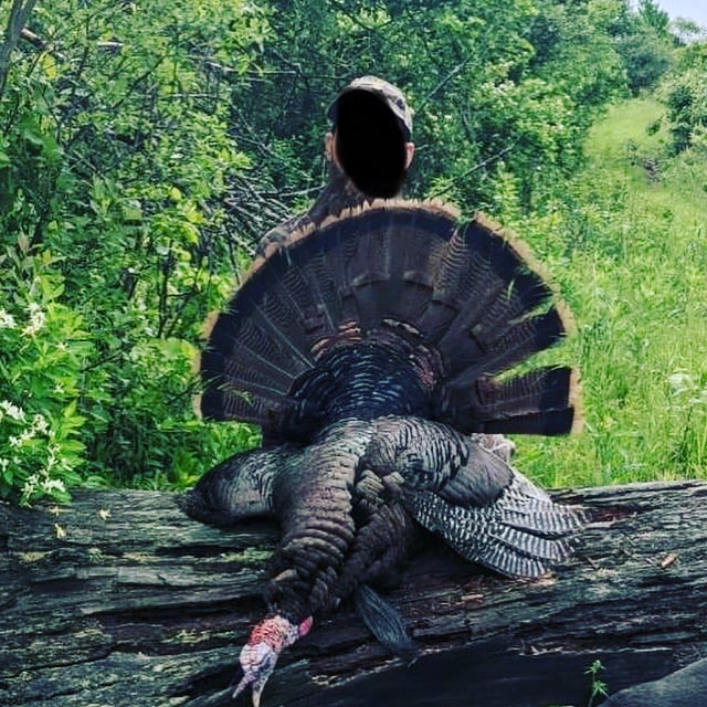 HLRBO Hunting Lease 104 acres in Allegany County,New York