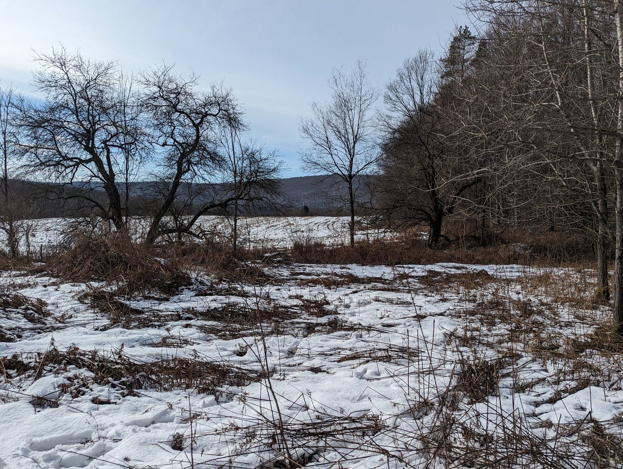 HLRBO Hunting Lease 63 acres in Cortland County,New York