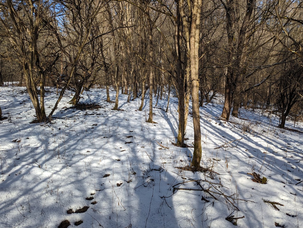 HLRBO Hunting Lease 63 acres in Cortland County,New York