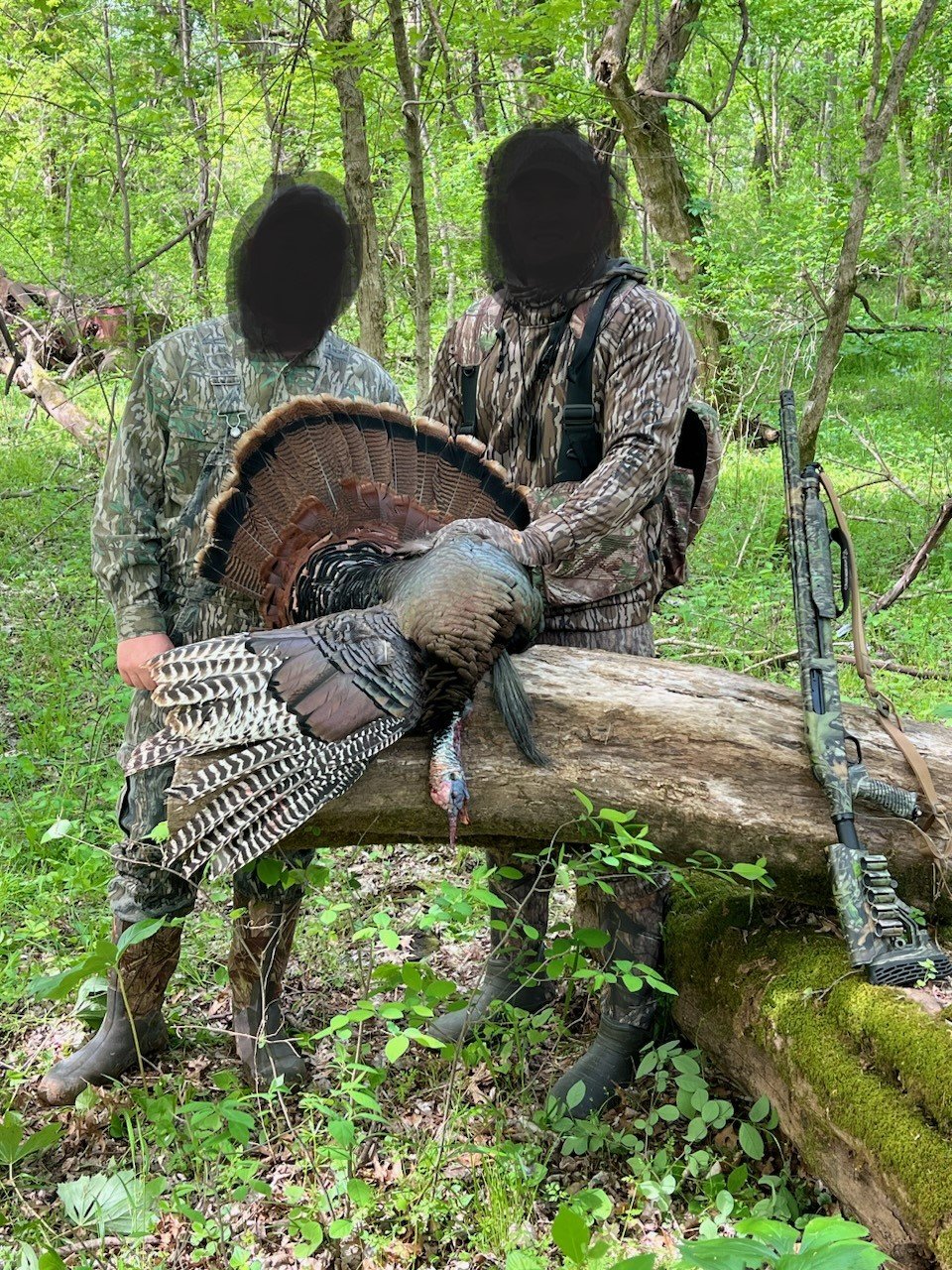 HLRBO Hunting Lease 446 acres in Crittenden County,Kentucky