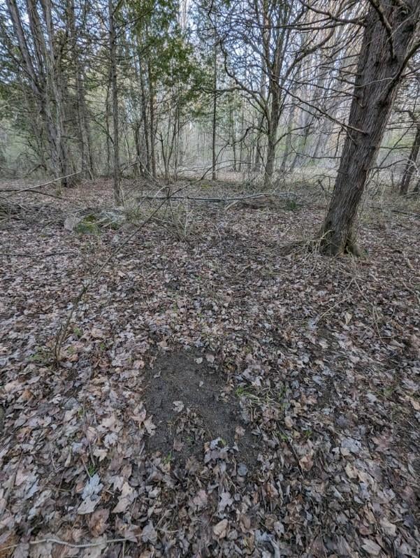 HLRBO Hunting Lease 70 acres in St. Lawrence County,New York