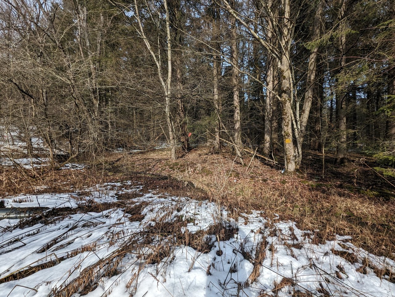 HLRBO Hunting Lease 63 acres in Cortland County,New York