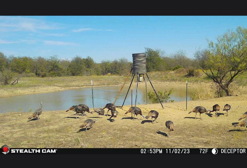 HLRBO Hunting Lease 3808 acres in Jack County,Texas