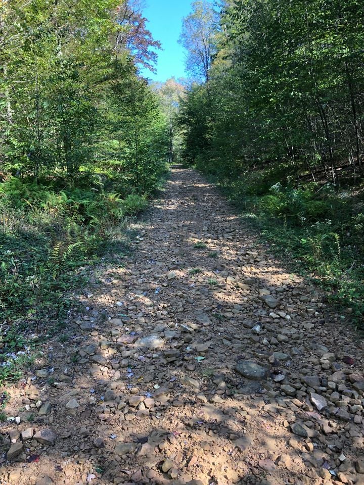 HLRBO Hunting Lease 33 acres in McKean County,Pennsylvania