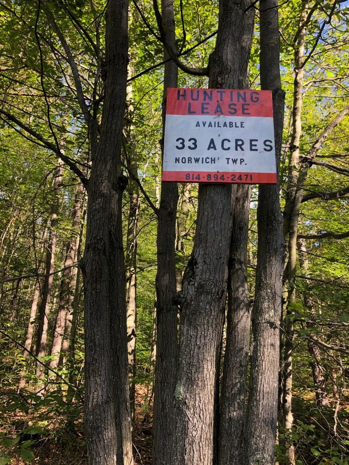 HLRBO Hunting Lease 33 acres in McKean County,Pennsylvania