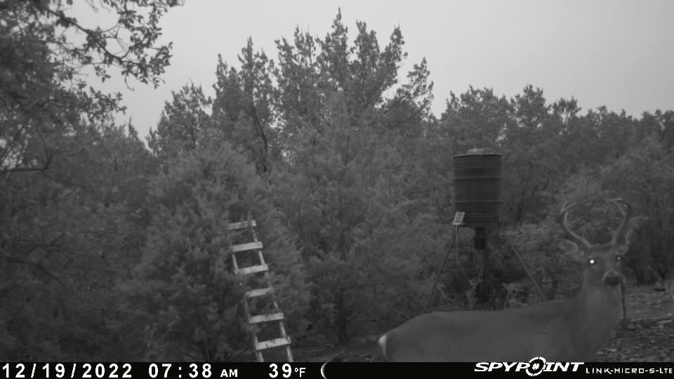 HLRBO Hunting Lease 45 acres in Lampasas County,Texas