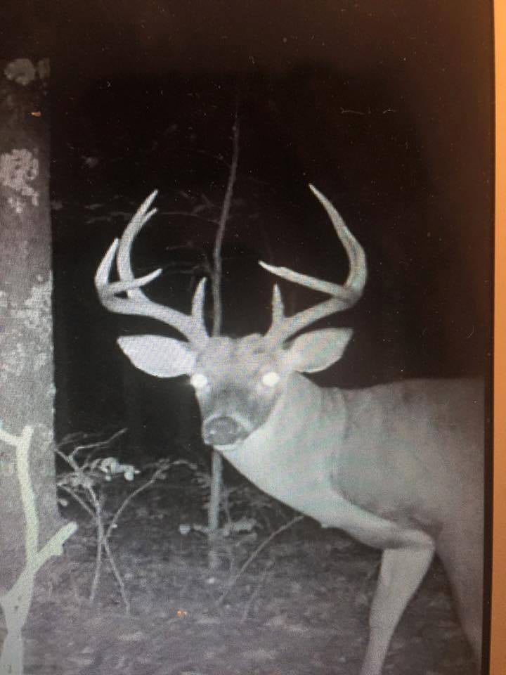 HLRBO Hunting Lease 98 acres in Crittenden County,Kentucky