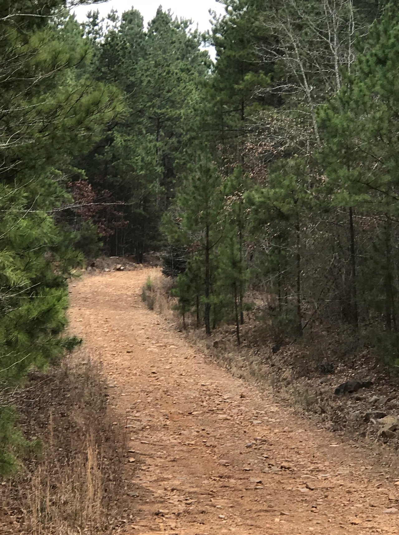 HLRBO Hunting Lease 1700 acres in Pushmataha County,Oklahoma