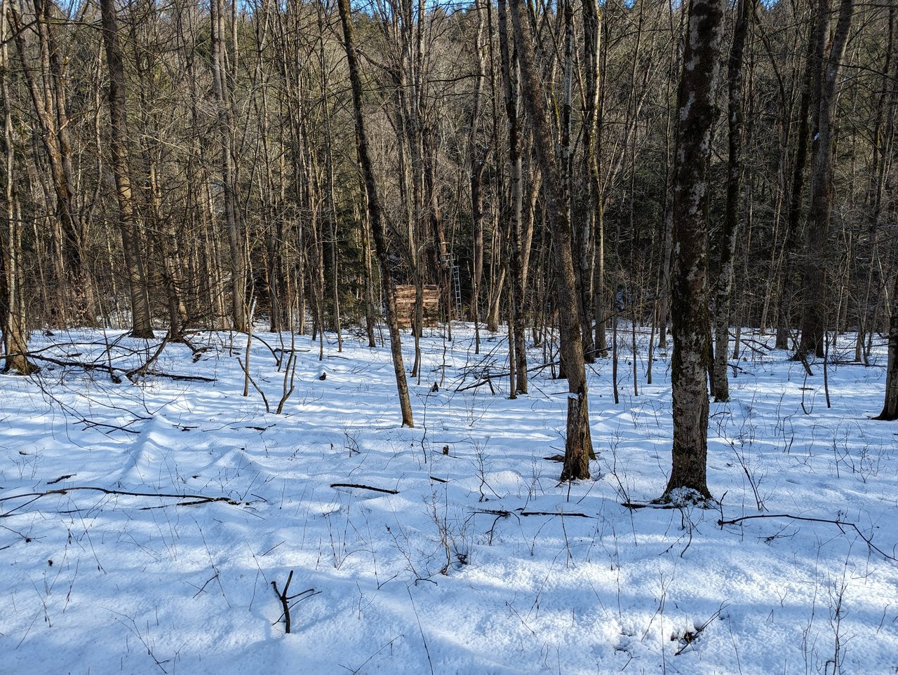 HLRBO Hunting Lease 63 acres in Cortland County,New York