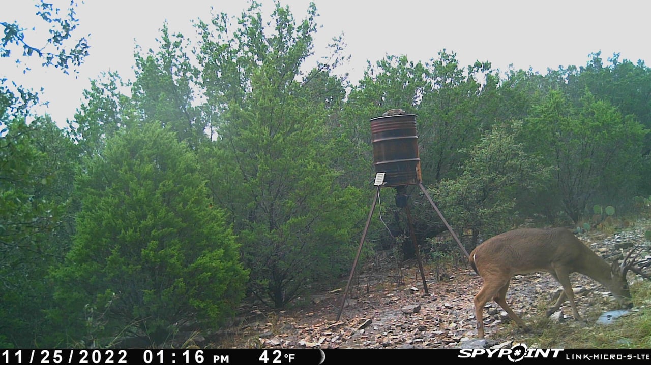 HLRBO Hunting Lease 45 acres in Lampasas County,Texas