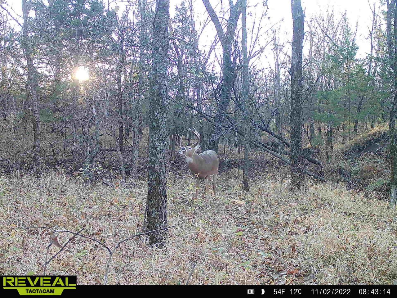 HLRBO Hunting Lease 232 acres in Osage County,Kansas