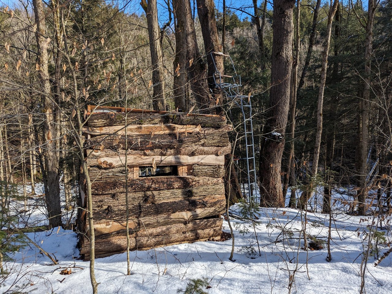 HLRBO Hunting Lease 63 acres in Cortland County,New York