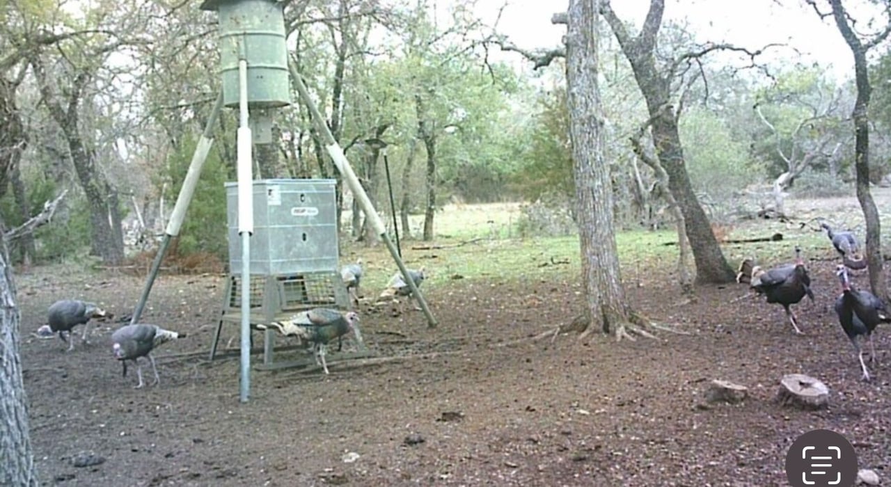 HLRBO Hunting Lease 800 acres in Lampasas County,Texas