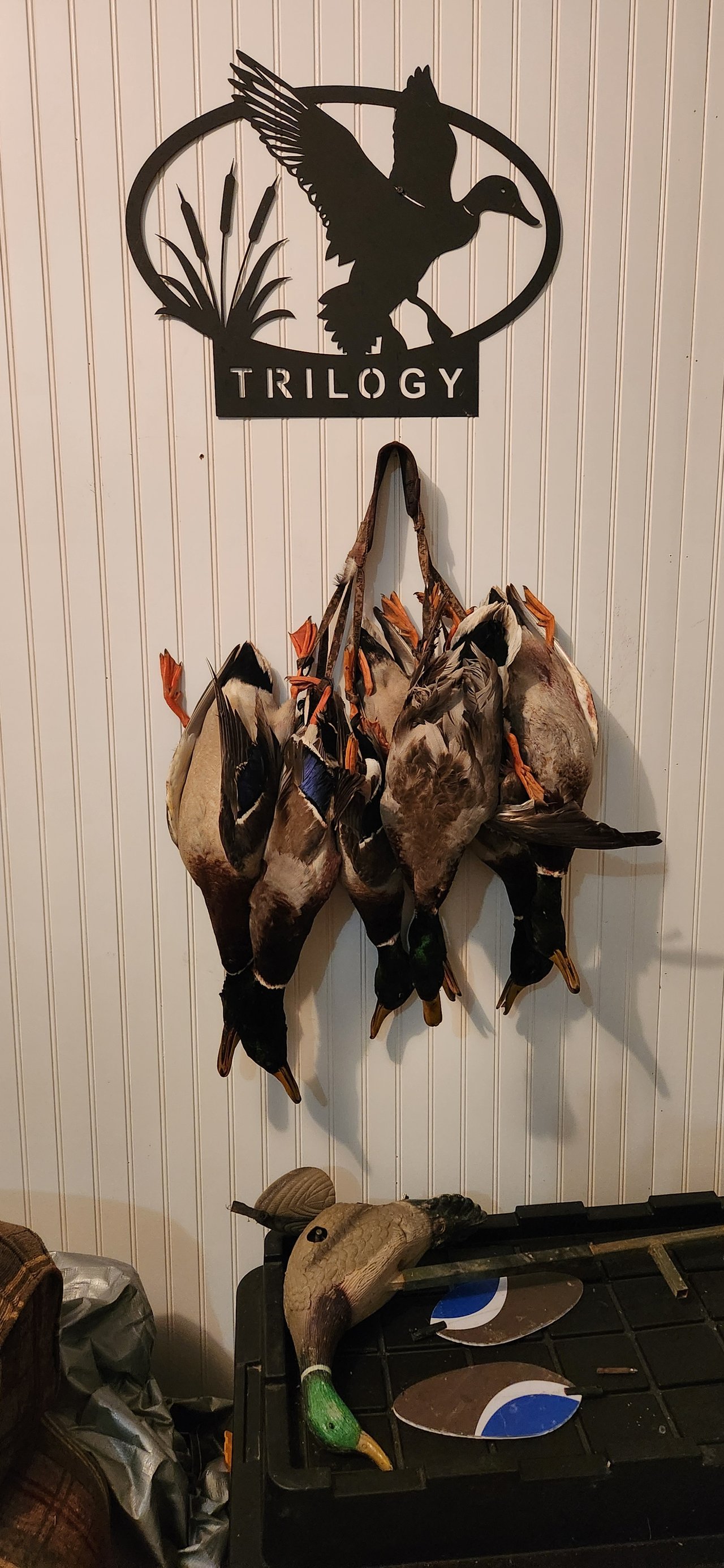 HLRBO Hunting Lease 446 acres in Crittenden County,Kentucky