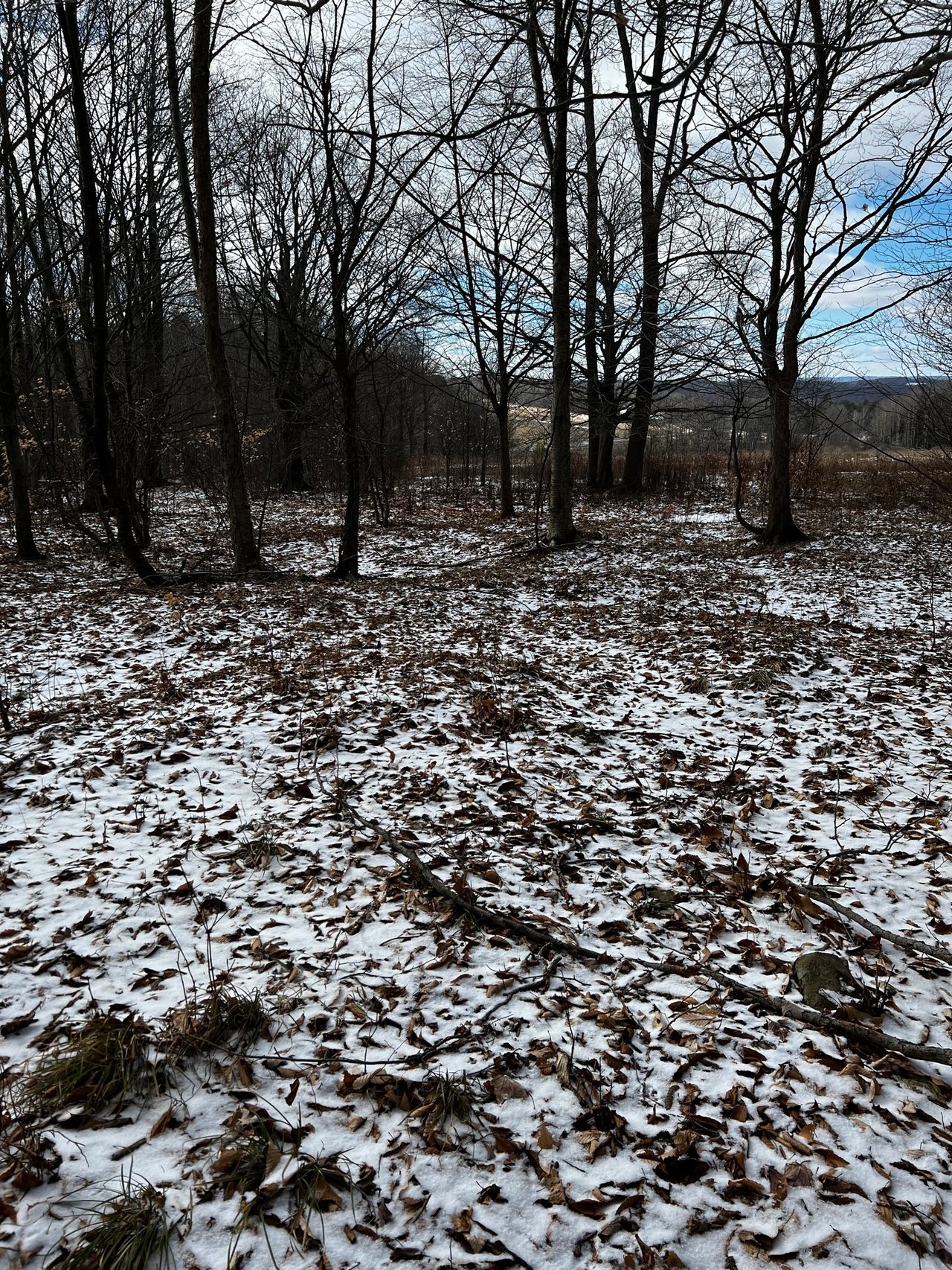 HLRBO Hunting Lease 70 acres in Allegany County,New York