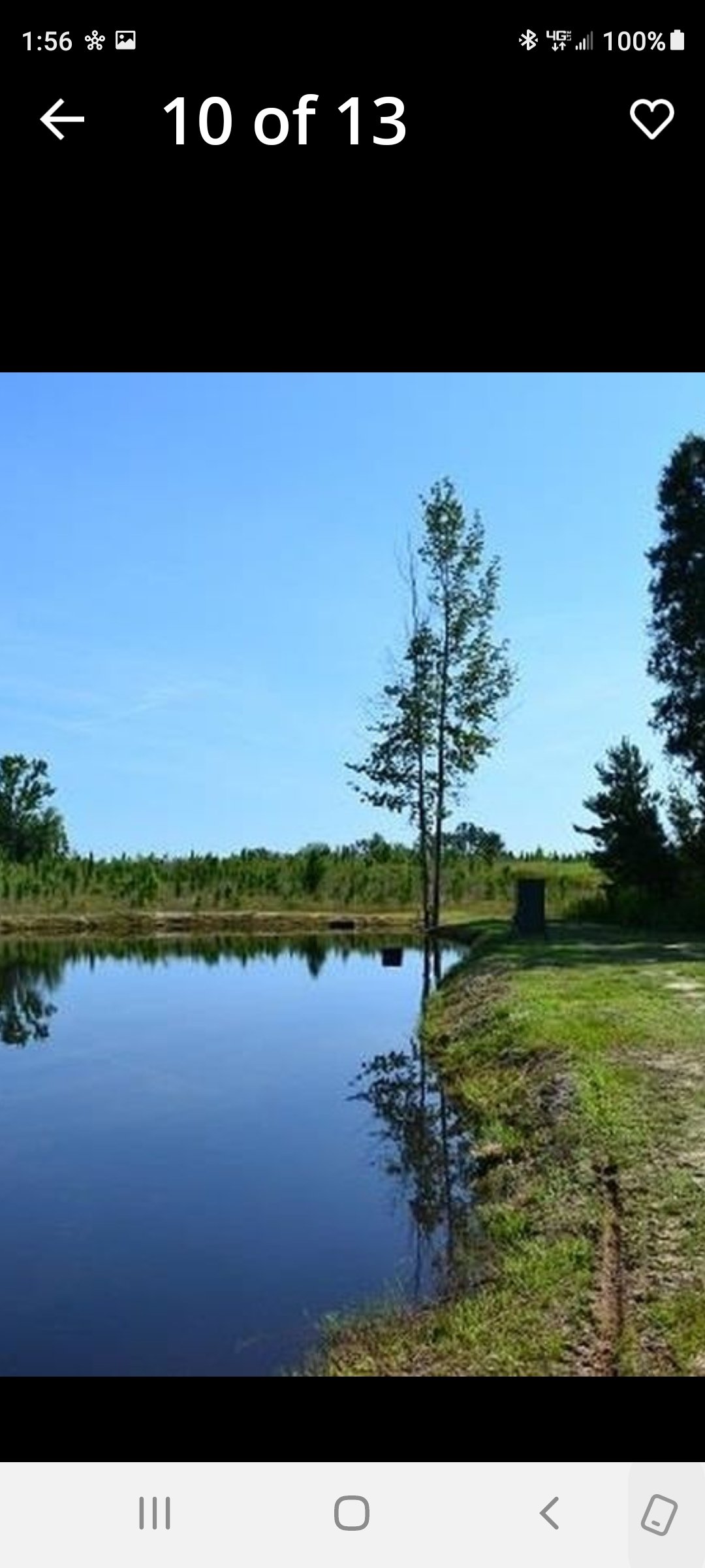 HLRBO Hunting Lease 125 acres in Telfair