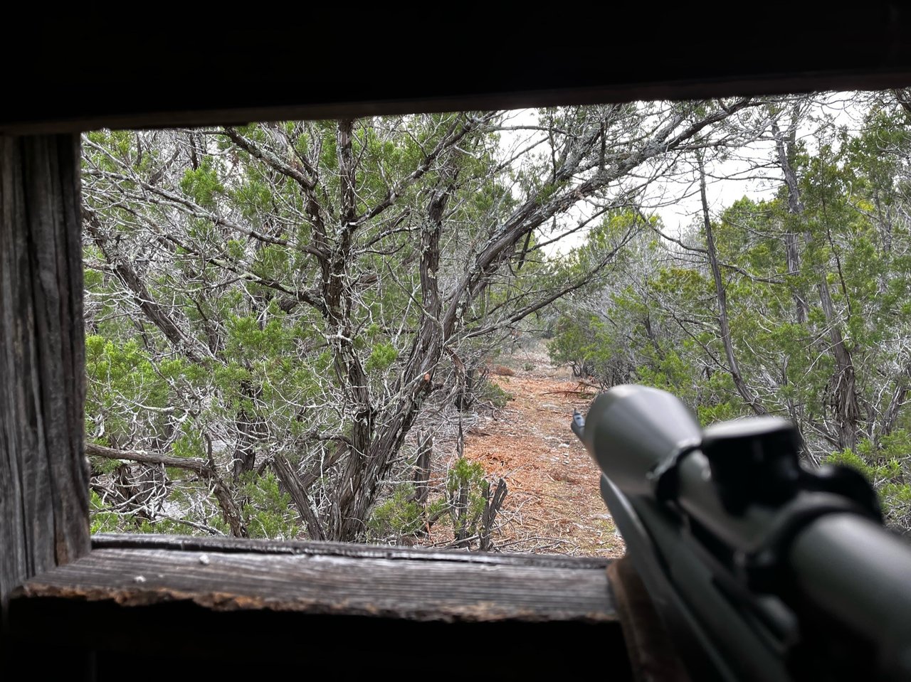 HLRBO Hunting Lease 45 acres in Lampasas County,Texas