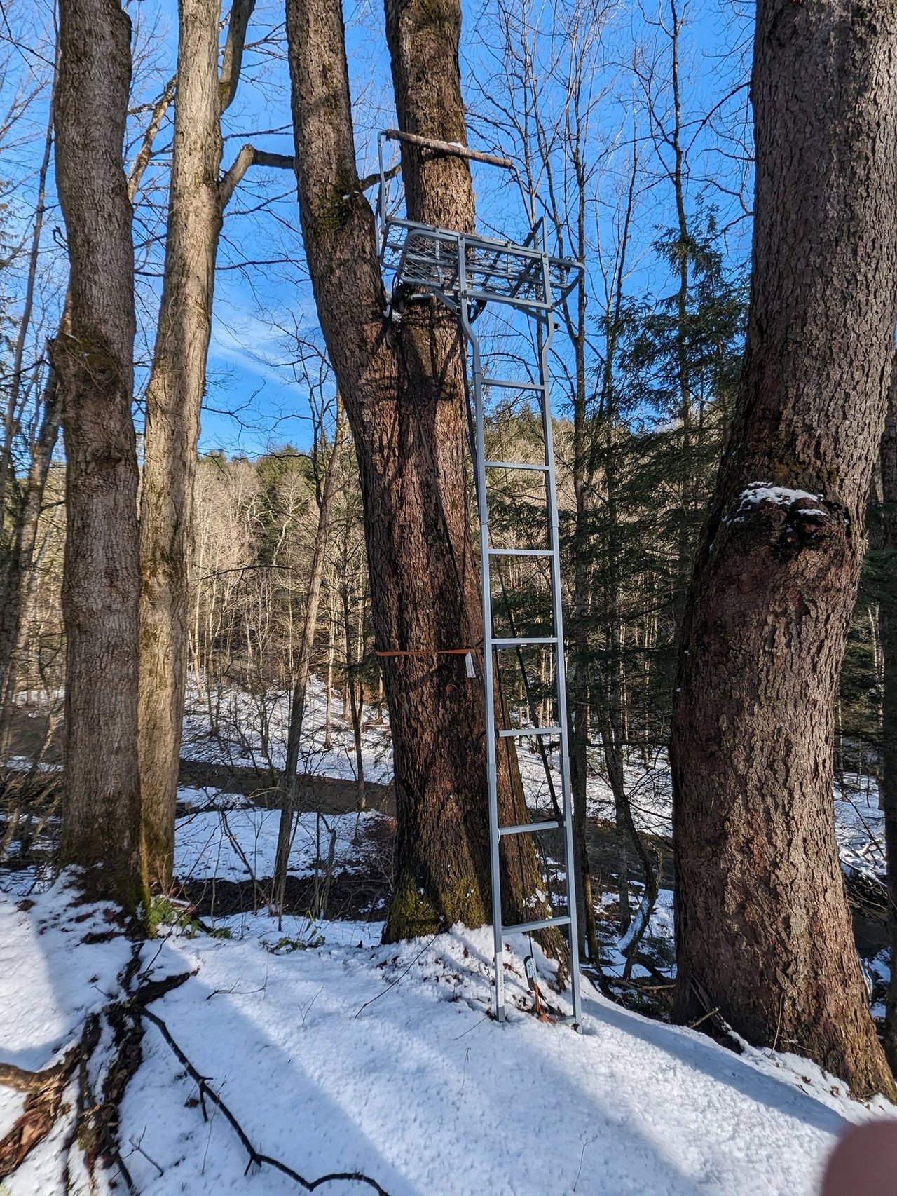 HLRBO Hunting Lease 63 acres in Cortland County,New York