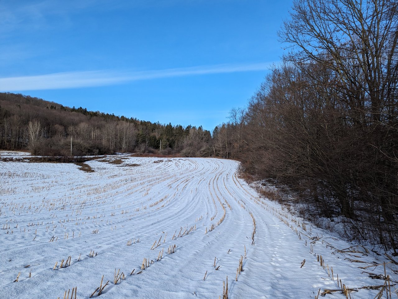 HLRBO Hunting Lease 63 acres in Cortland County,New York