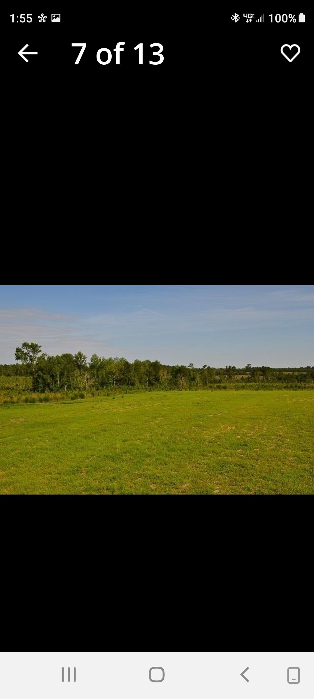 HLRBO Hunting Lease 125 acres in Telfair