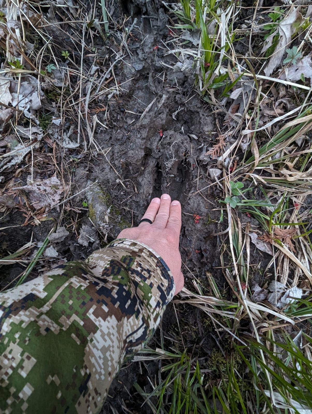 HLRBO Hunting Lease 70 acres in St. Lawrence County,New York