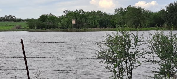 HLRBO Live Oak,Texas Hunting Lease 2,000.00 Per Season