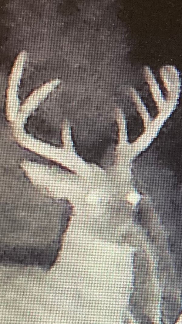 HLRBO Chesterfield,South Carolina Hunting Lease 2,000.00 Per Year